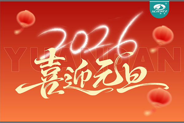 董事长周芳女士新年献词：心有定力，沐光而行