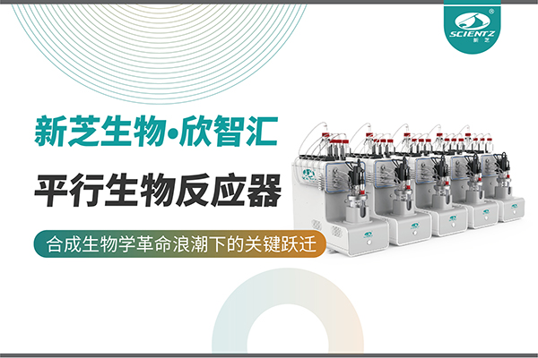 培养菌株和评估工艺参数影响太难太慢？平行生物反应器提供关键解决方案！