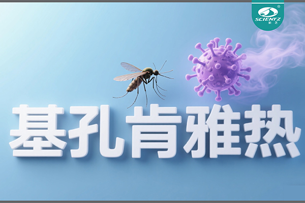 基孔肯雅热疫情升级！OB视讯生物硬核技术助力病毒精准诊断